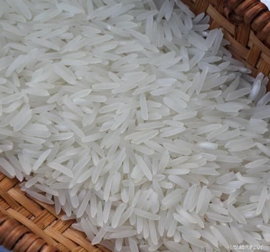 Rice | Rice Exporter | Rice Distributor | Rice Wholesaler | Rice Supplier | Rice Importer | Basmati Rice | Rice For Sale | Long Grain Rice Exporter | Buy Rice Online | Rice For Sale | Basmati Rice Exporter | Basmati Rice Wholesaler | Long Grain Rice buyer