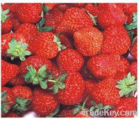 Strawberry series