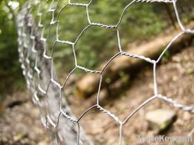 Sell Various of Types Chicken Wire