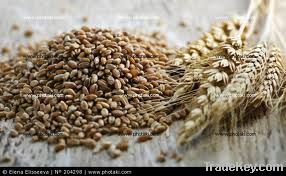 Grain Cereals