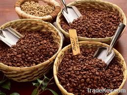 Robusta Coffee Beans