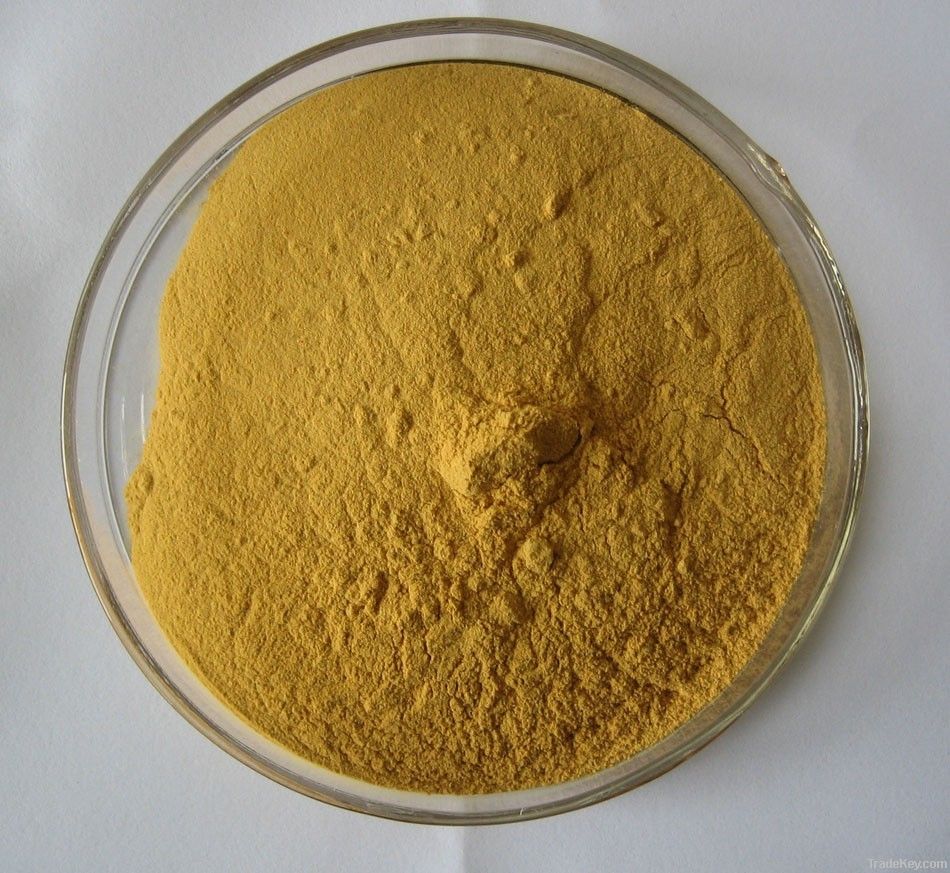 Ginkgo Biloba leaf Extract