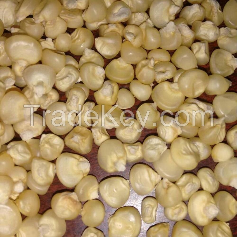 Hot sales White maize /yellow corn and Maize Meal available