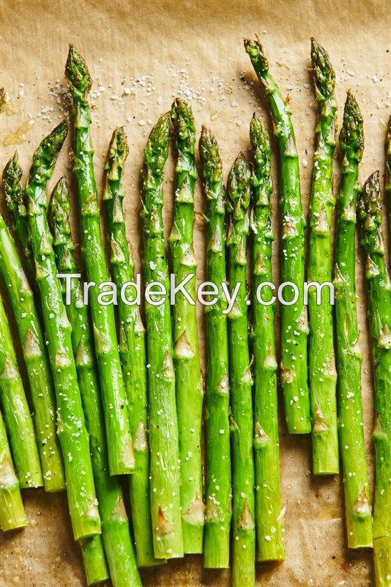 FRESH ASPARAGUS / FROZEN ASPARAGUS WITH LOW PRICES