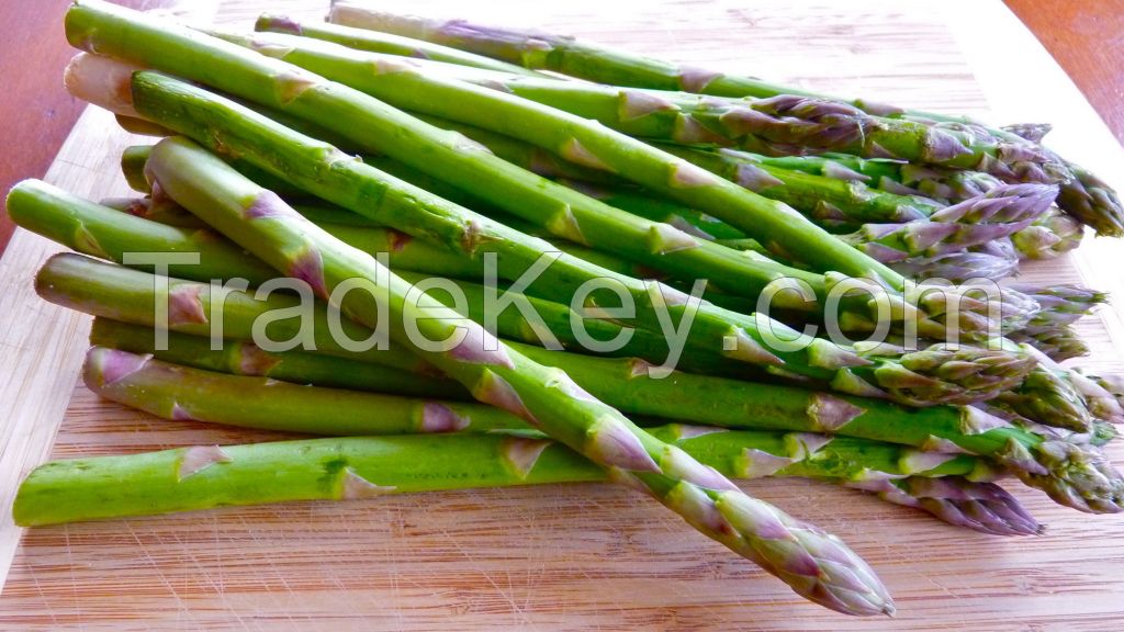 FRESH ASPARAGUS / FROZEN ASPARAGUS WITH LOW PRICES