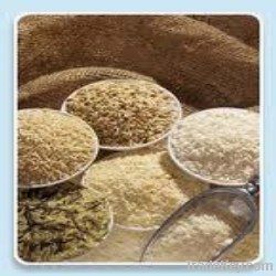 RICE SUPPLIER| PARBOILED RICE IMPORTERS | BASMATI RICE EXPORTER| KERNAL RICE WHOLESALER| WHITE RICE MANUFACTURER| LONG GRAIN TRADER| BROKEN RICE BUYER | IMPORT BASMATI RICE| BUY KERNAL RICE| WHOLESALE WHITE RICE| LOW PRICE LONG GRAIN