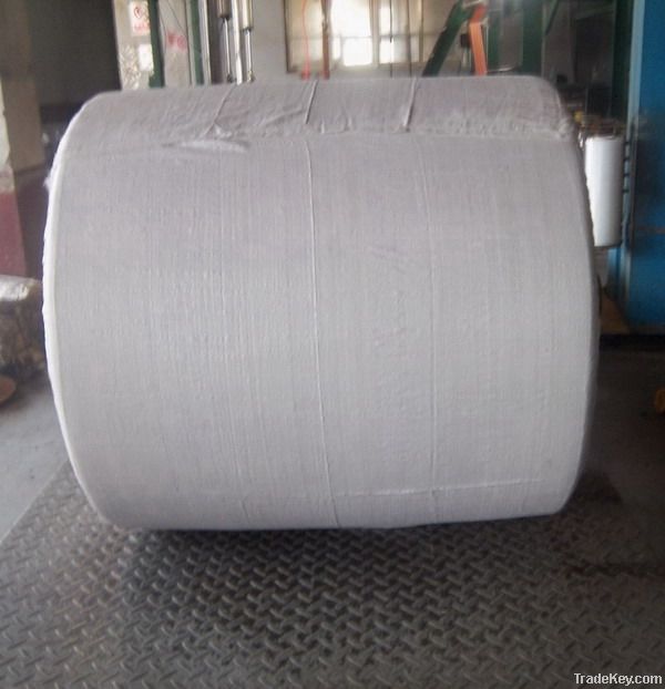 dipped polyester tire cord fabric