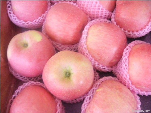 chinese fuji apple