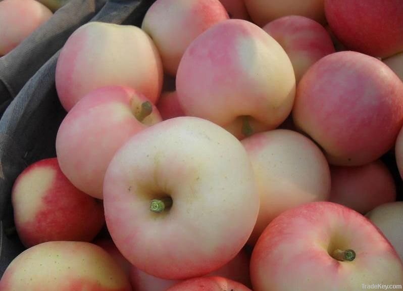 fresh gala apple