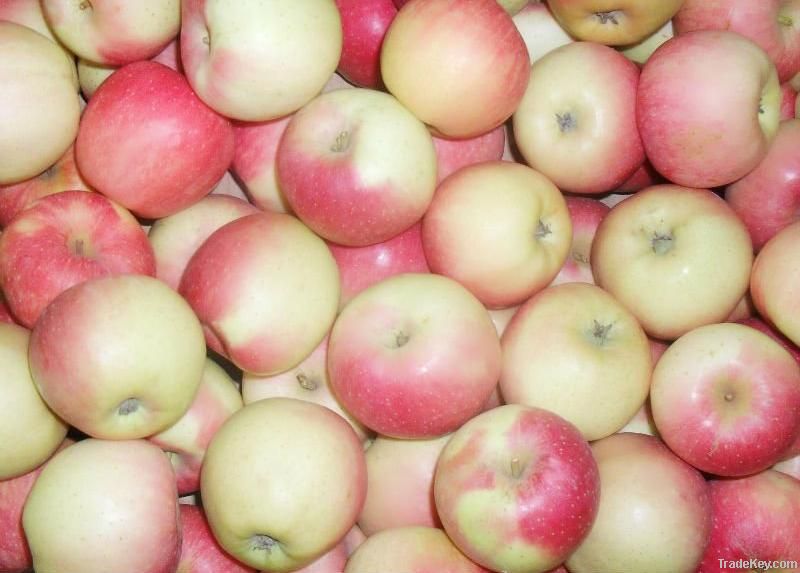 fresh gala apple
