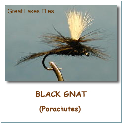 Black Gnat (Parachute)