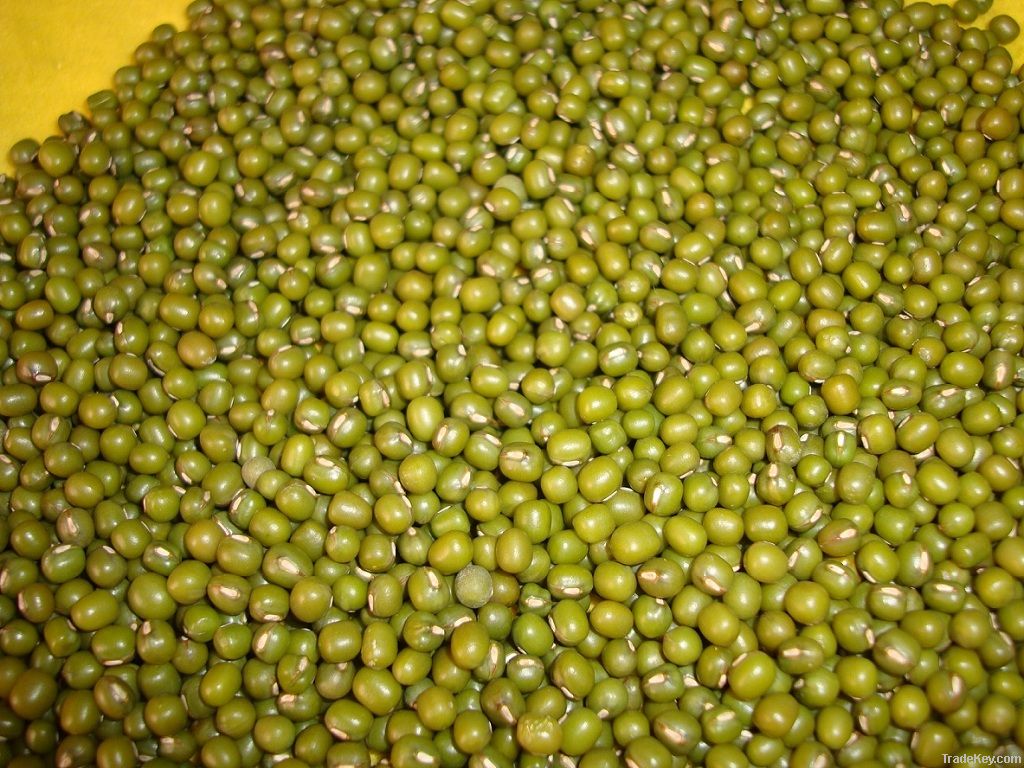 Mung Beans