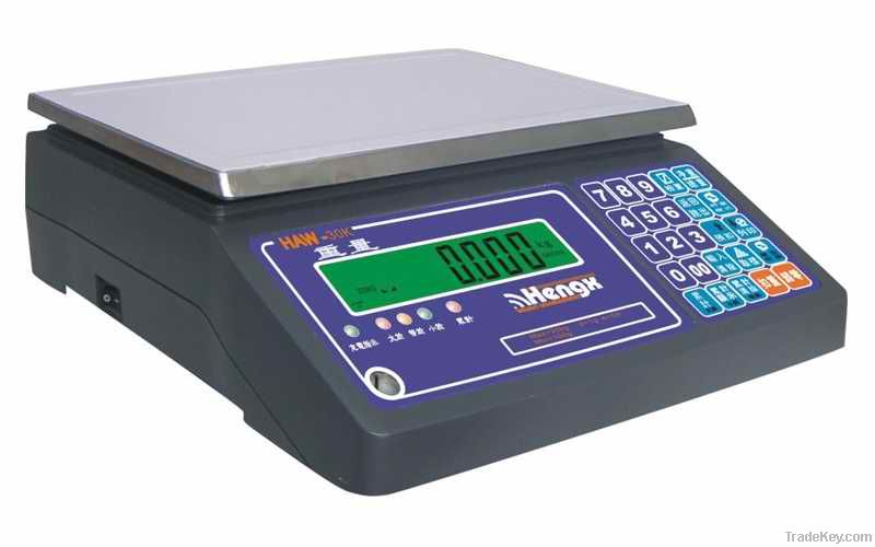 High Precision and Multi Functional Weighing Scale Series