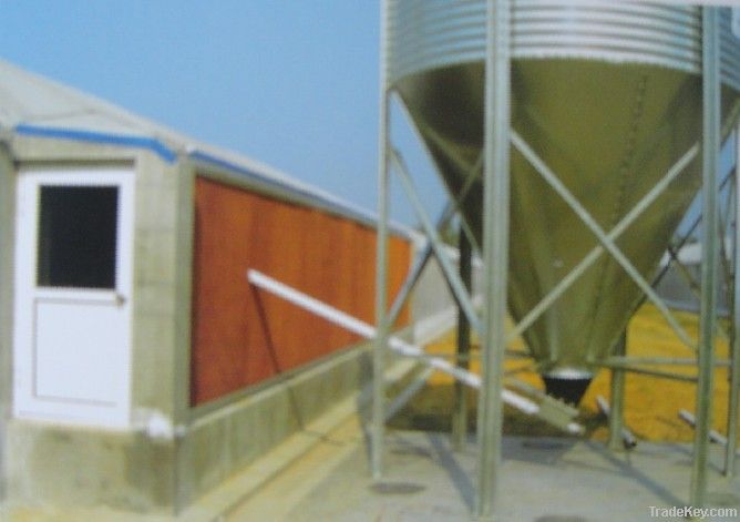 Poultry Main Feeding System