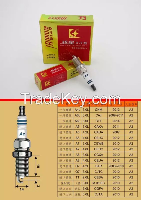 Torch iridium and platinum spark plugs for BMW, BENZ and AUDI