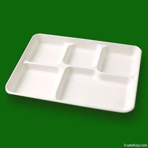 biodegradable disposable tray