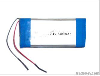 Rechargable Lithium Polymer Batteries