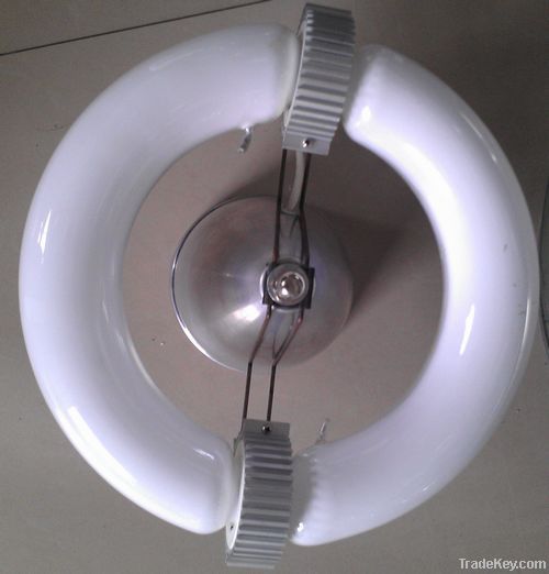 low frequency induction lamp