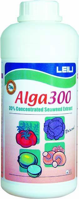 Alga 300