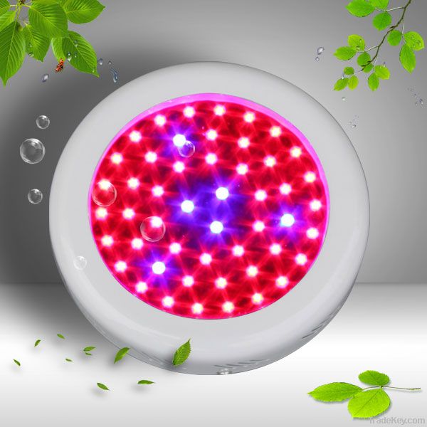 Led Grow Light 50W(50*1W)