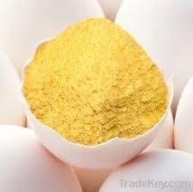 EGG YOLK POWDER