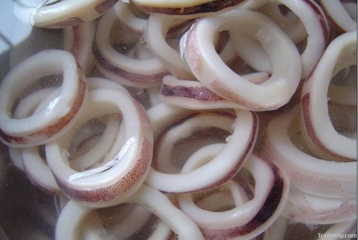 Frozen Squid ring