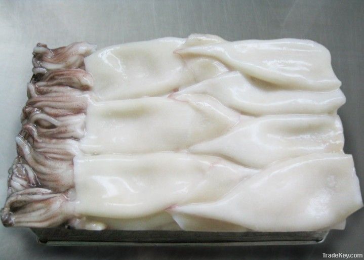 Frozen Squid tube