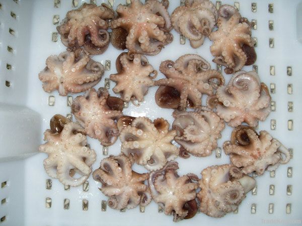Frozen cooked Octopus