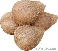 De Husked Coconut