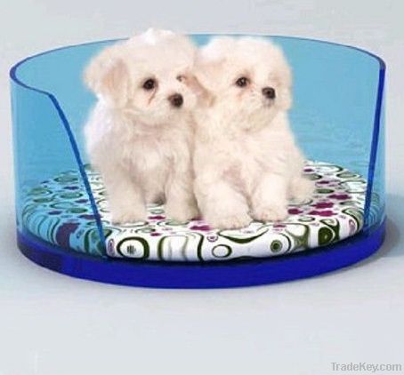 Large Space Perspex Dog Bed