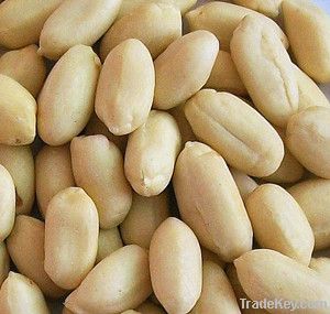 New crop blanched peanut kernels