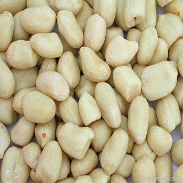 New crop blanched peanut kernels