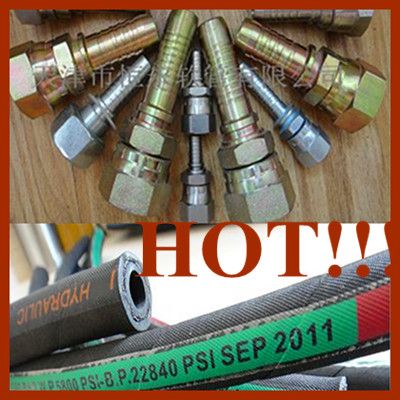 Hydraulic Hose and Fitting Hose Assembly