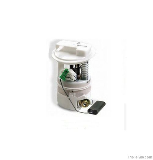 Electric Fuel Pump Module/Assembly for Renault