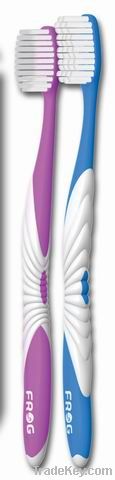 adult set tooth brush