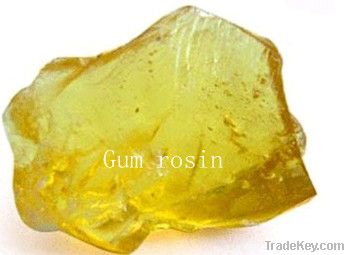 Gum rosin