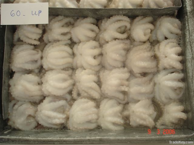 FROZEN BABY OCTOPUS WHOLE CLEANED