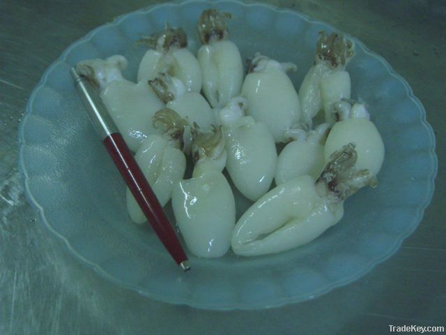 FROZEN BABY CUTTLEFISH WHOLE CLEANED