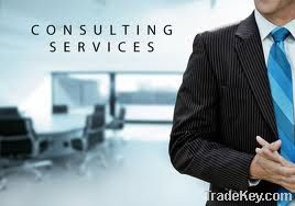 Immigration Consultancy