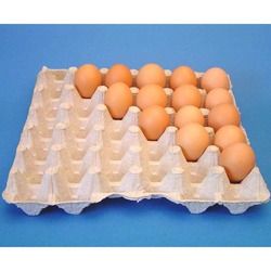 Duck Paper Egg Trays