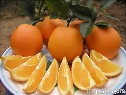 Gannan orange