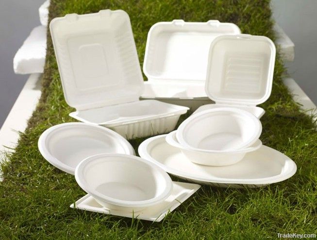 disposable sugarcane pulp lunch box, tray, paper cup, supermarket tray