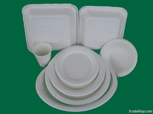eco friendly paper plates, eco lunch box, eco paper box