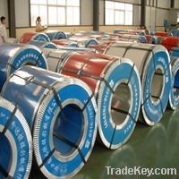 prepainted galvanized coil