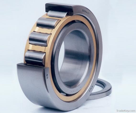 cylindrical robber bearing
