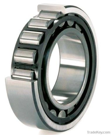 cylindrical robber bearing