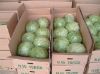 fresh green chinese cabbage