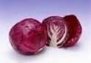 Chinese red fresh cabbage