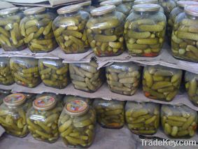 Pickled cucumber 6-9cm jar 1500ml