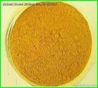 Goji Extract Powder